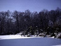 Baughurst - Herricks - Snow Back Garden 2